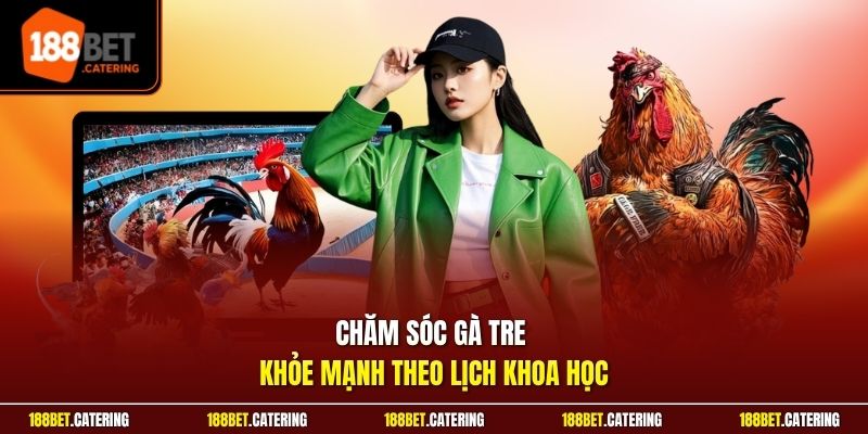 Chăm sóc gà tre khỏe mạnh theo lịch khoa học