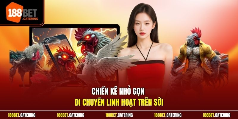 Chiến kê nhỏ gọn di chuyển linh hoạt trên sới